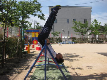 1.jpg