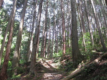 image3.jpg